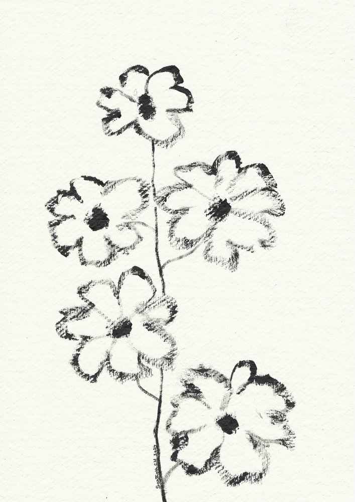 Schizzo di fiore a carboncino da Santhosh ch