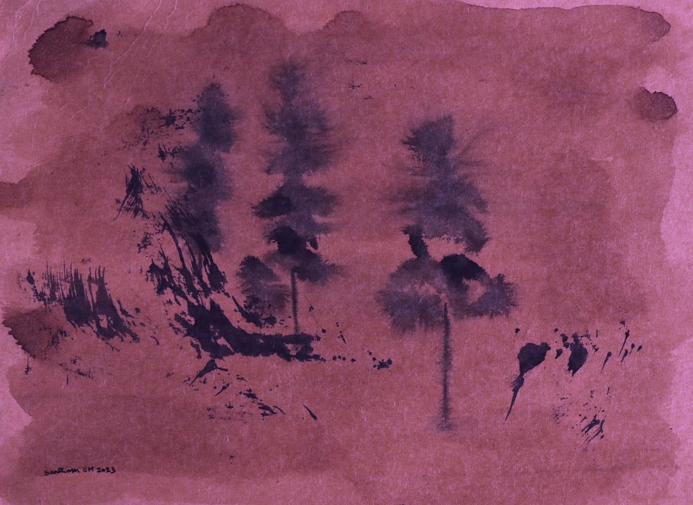 Oscuro paesaggio forestale da Santhosh ch
