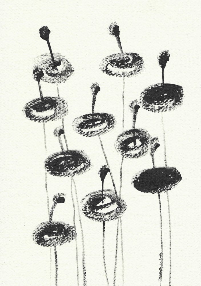 Delicate fioriture a carboncino da Santhosh ch