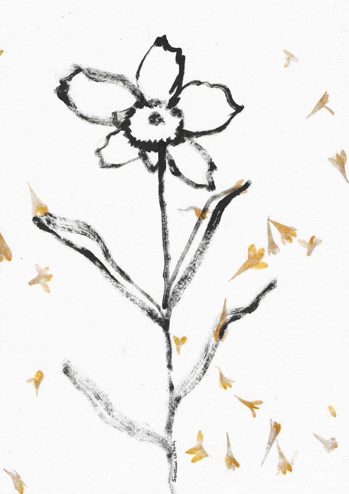 Delicato schizzo di fiore da Santhosh ch