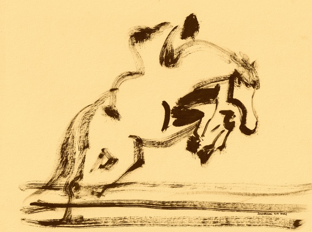 Dinamico salto equestre da Santhosh ch