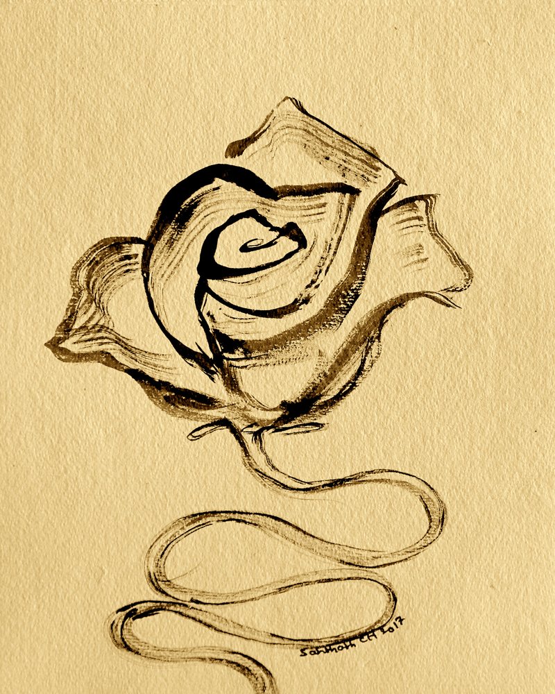 Elegante rosa fluente da Santhosh ch