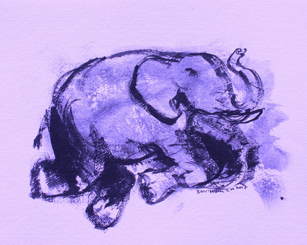Elefante 42 da Santhosh ch
