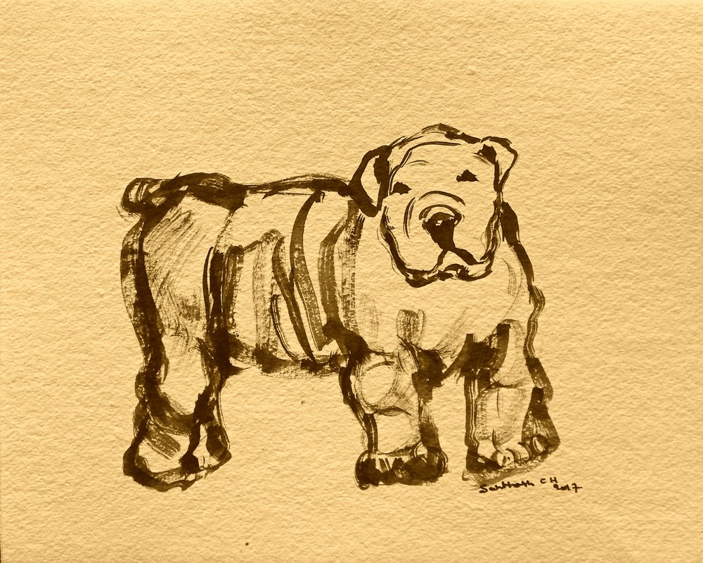 Schizzo espressivo di bulldog da Santhosh ch