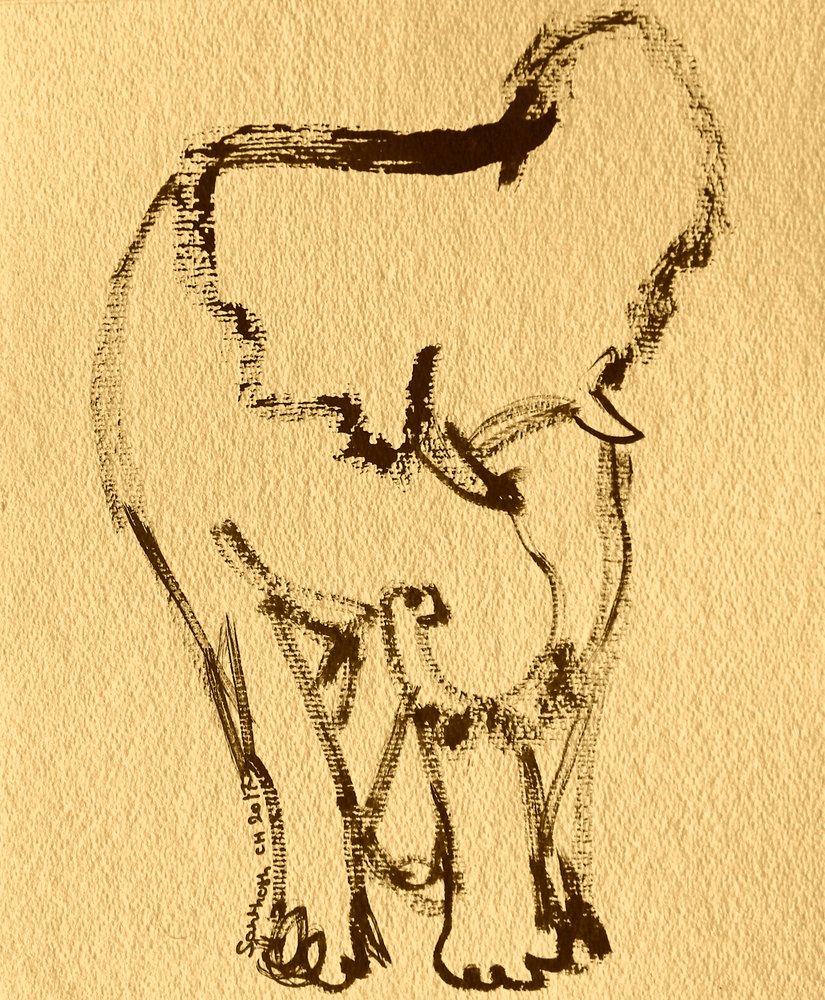 Disegno espressivo di elefante da Santhosh ch