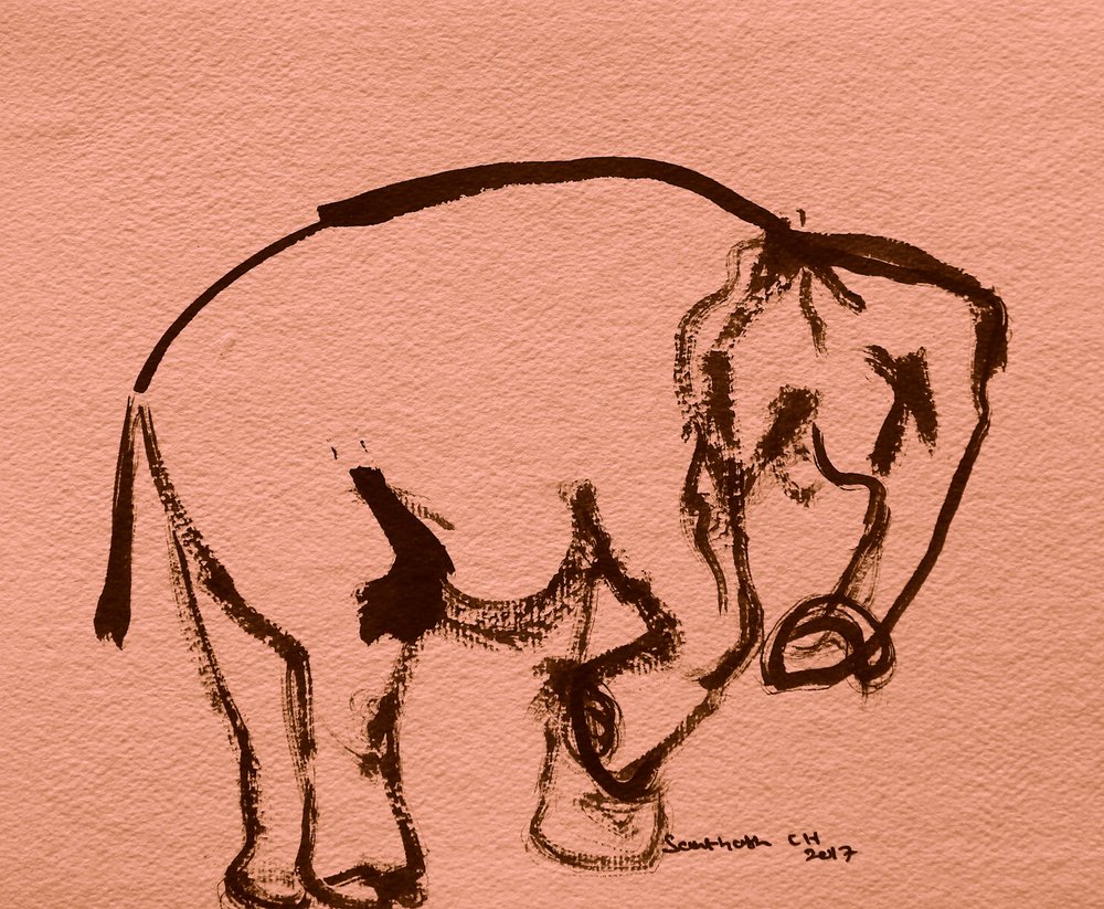 Schizzo espressivo di elefante da Santhosh ch