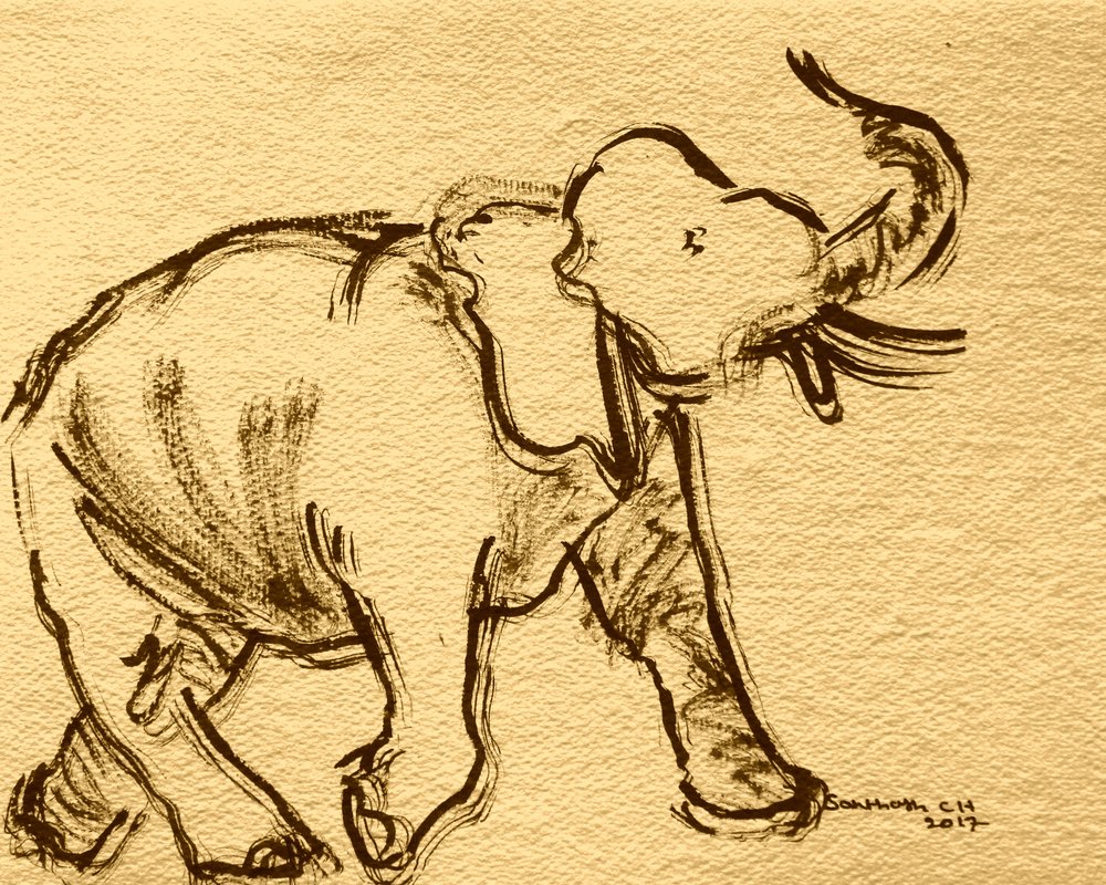 Schizzo espressivo di elefante da Santhosh ch
