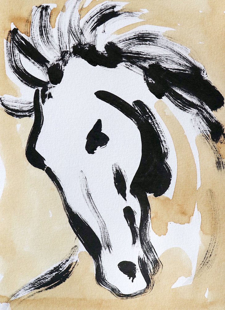 Espressiva testa di cavallo da Santhosh ch
