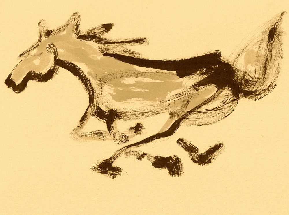 Movimento di cavallo al galoppo da Santhosh ch