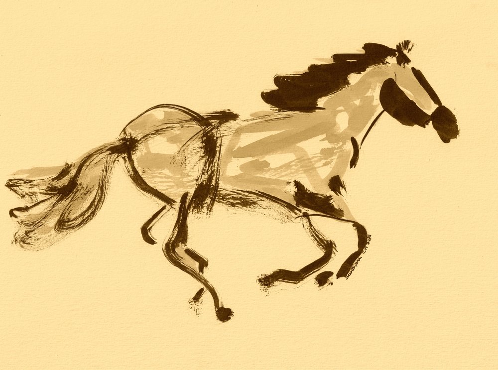 Cavallo seppia al galoppo da Santhosh ch