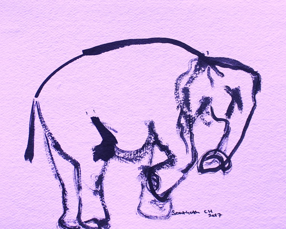 Dolce elefante a inchiostro da Santhosh ch