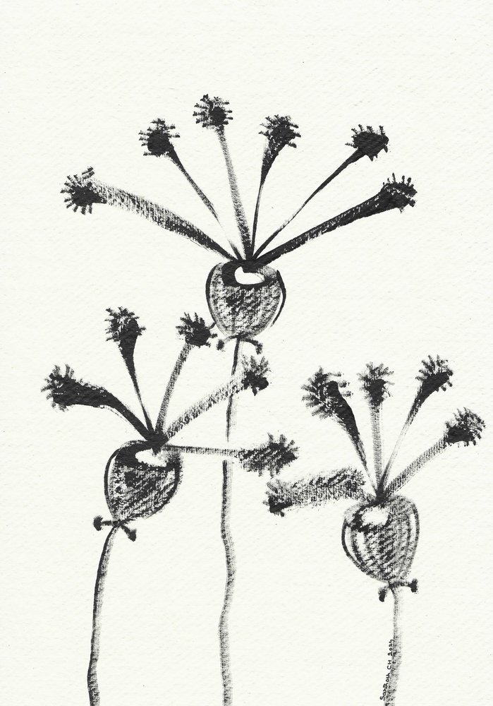 Disegno botanico minimalista da Santhosh ch