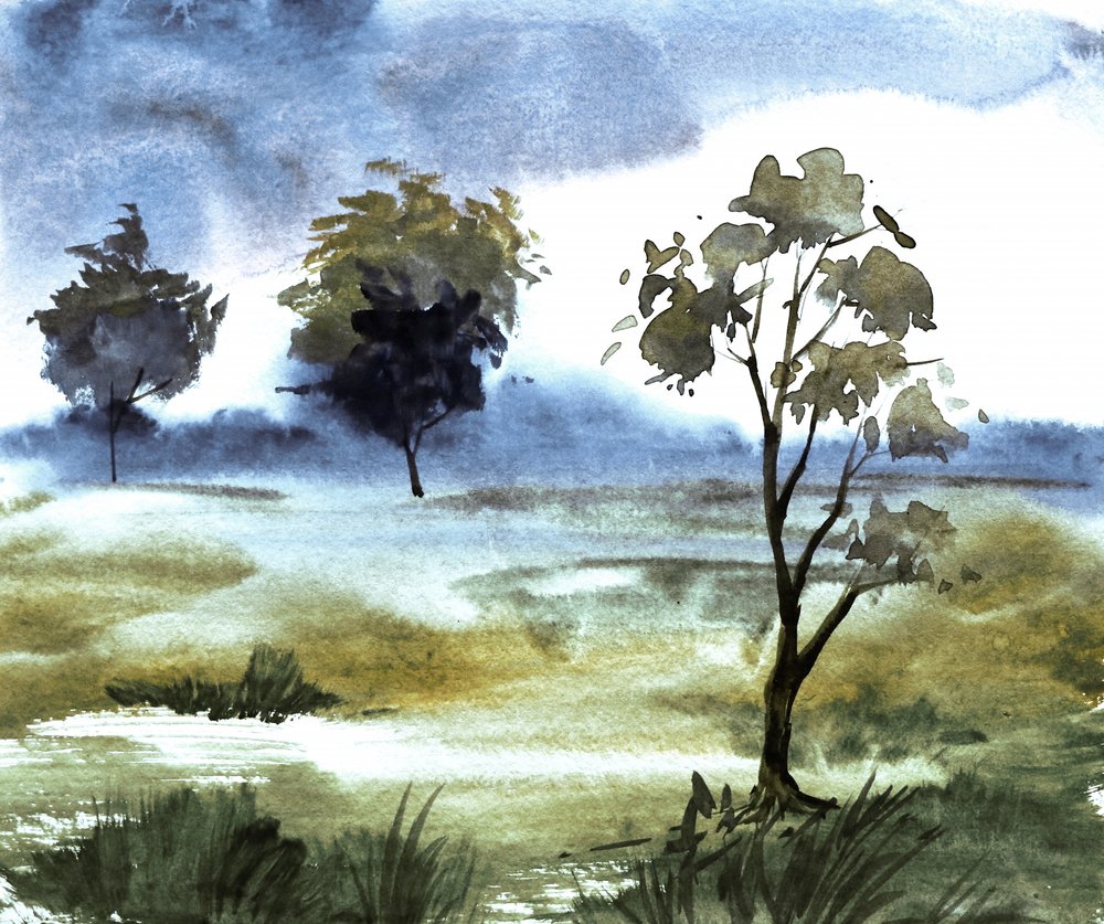 Alberi viola avvolti nella nebbia da Santhosh ch