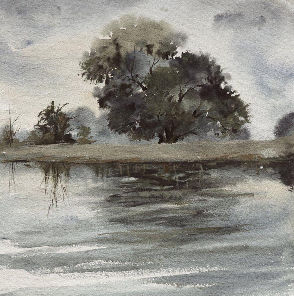 Riflessioni sull’albero nella nebbia da Santhosh ch