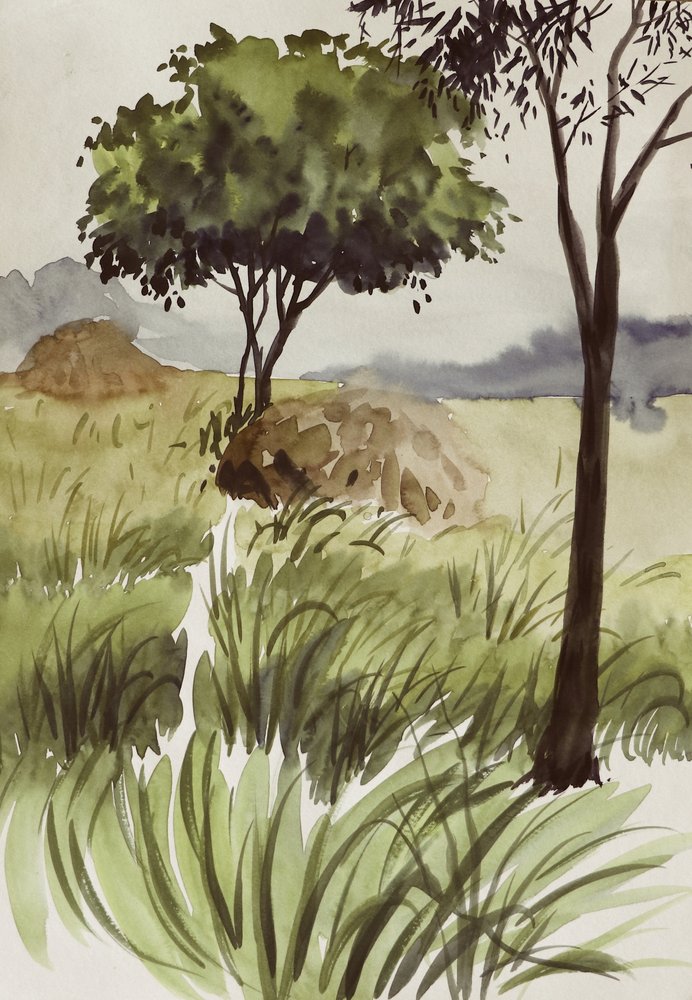 Campi verdi e tranquilli da Santhosh ch