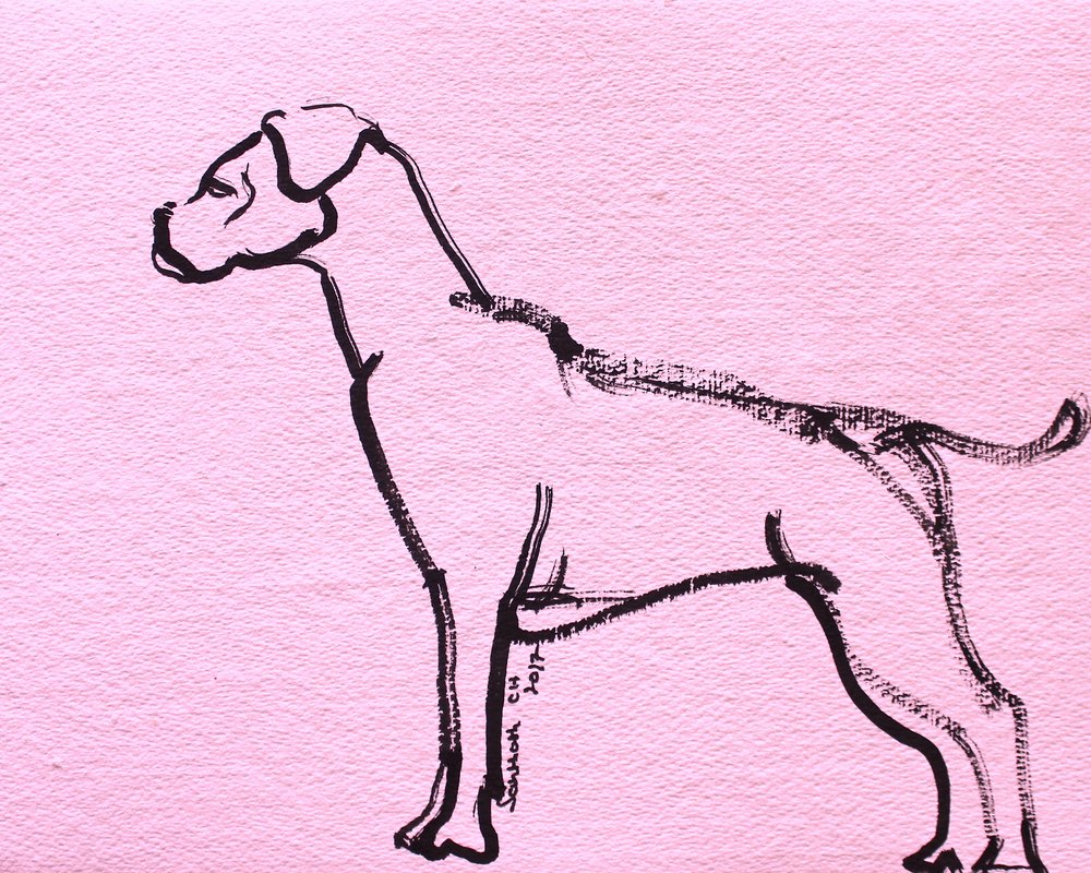 Disegno lineare di boxer rosa da Santhosh ch