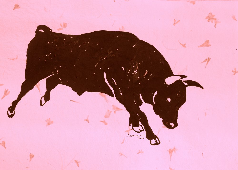 Toro rosa alla carica da Santhosh ch