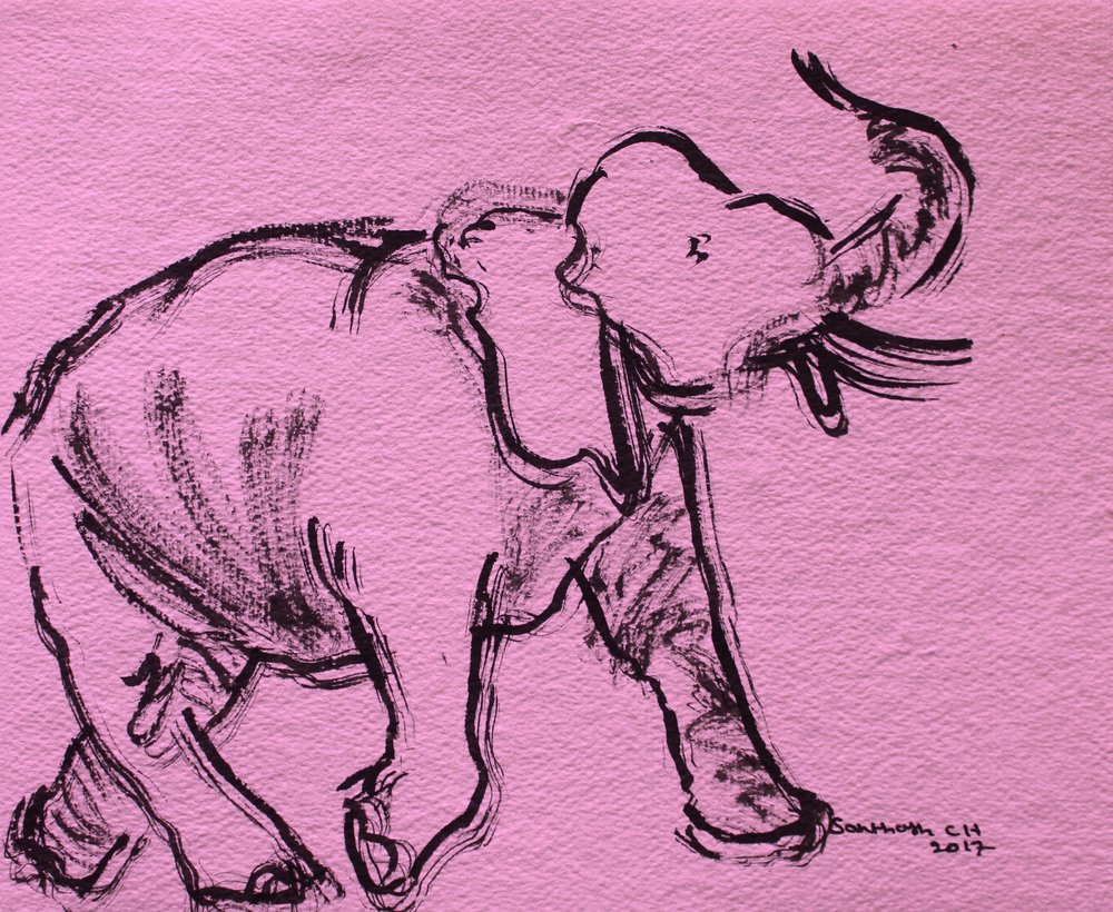 Schizzo di elefante rosa da Santhosh ch