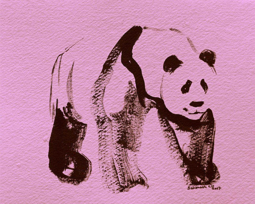 Pennellate di panda rosa da Santhosh ch