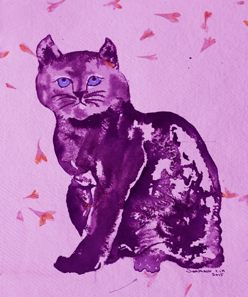 Gatto viola e petali da Santhosh ch