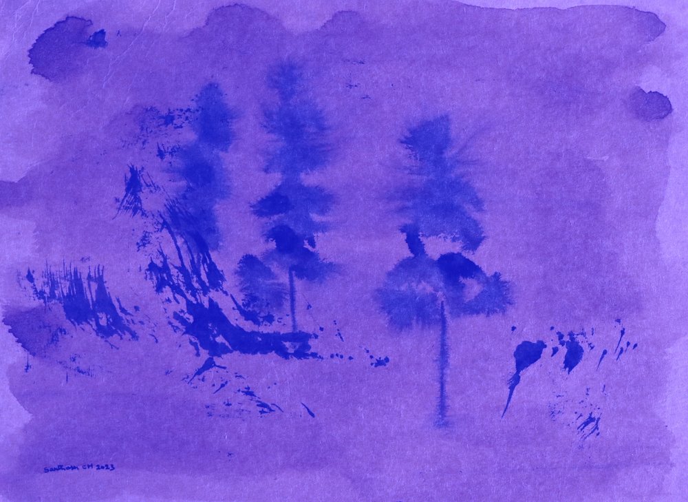 Pini nella foschia viola da Santhosh ch