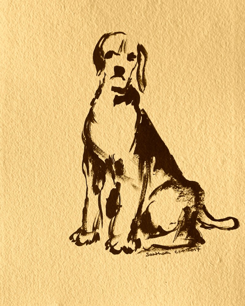 Schizzo di beagle seduto da Santhosh ch
