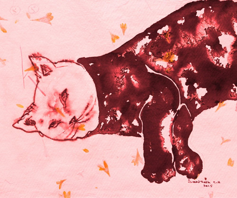 Il gatto rosso che dorme da Santhosh ch