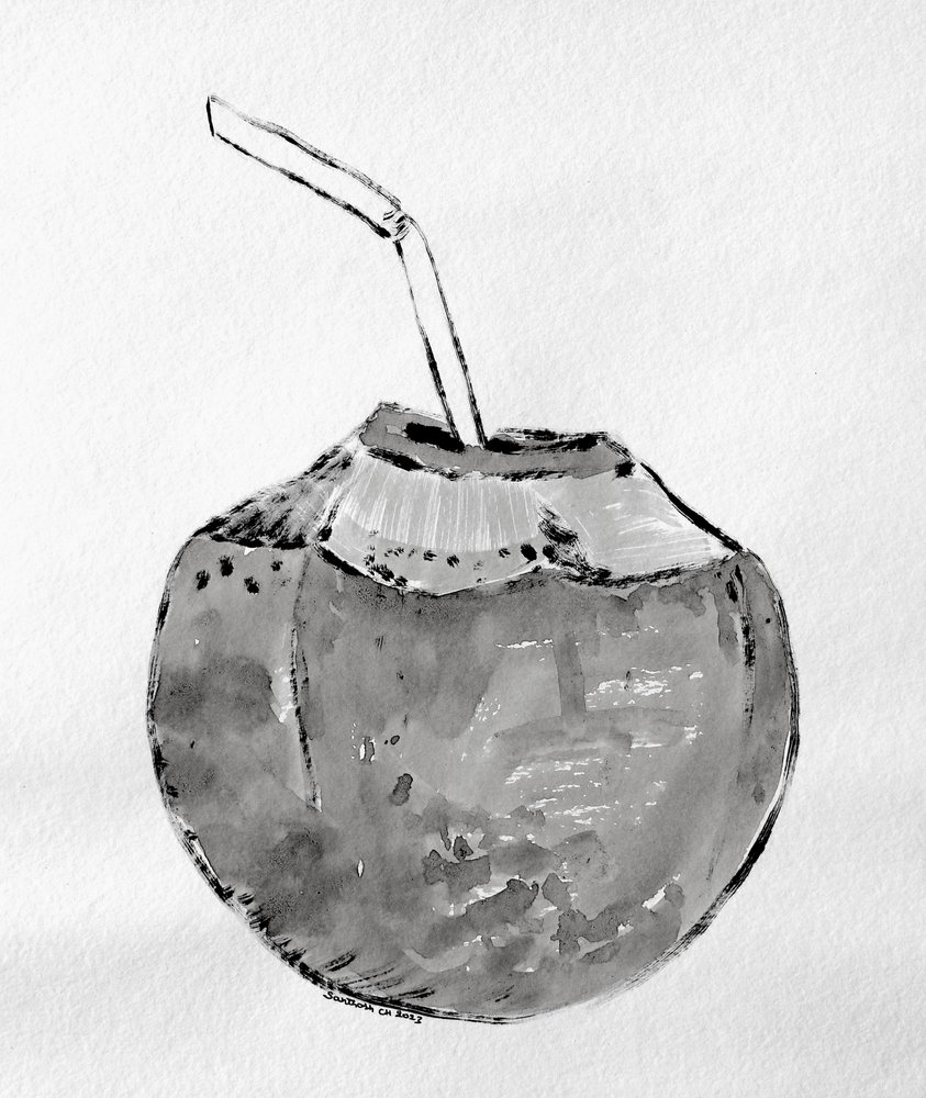 Bevanda tropicale al cocco da Santhosh ch