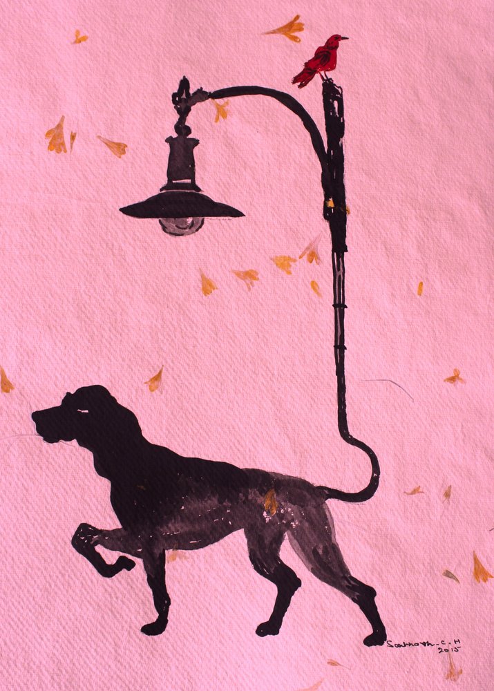 Passeggiata stravagante con il cane da Santhosh ch
