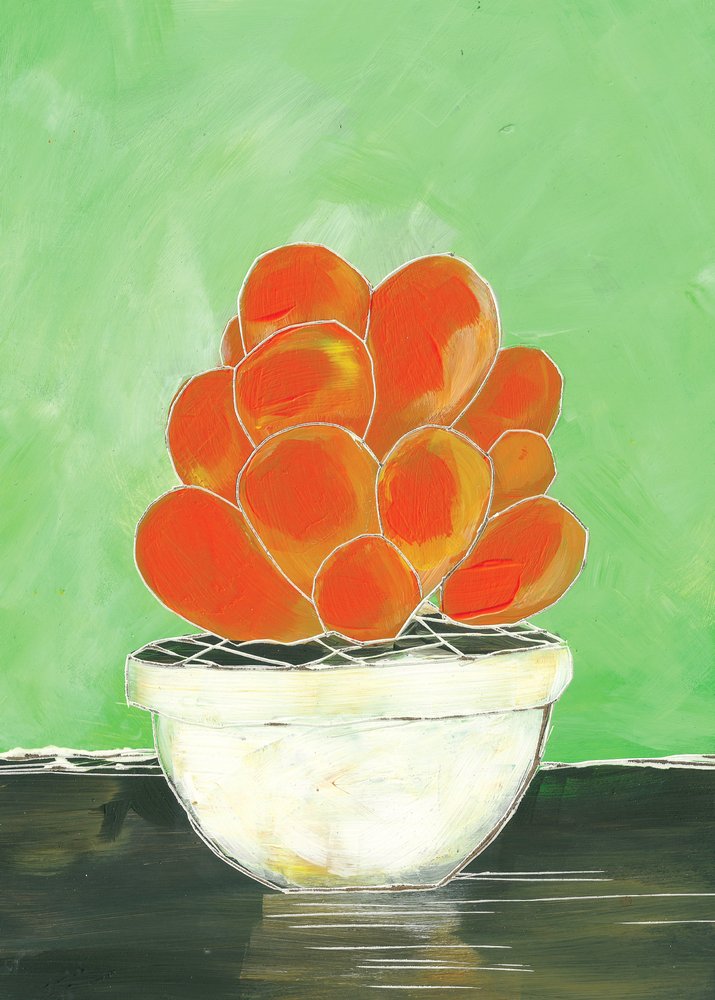 Succulenta in vaso dai colori vivaci da Sarah Fitzgerald