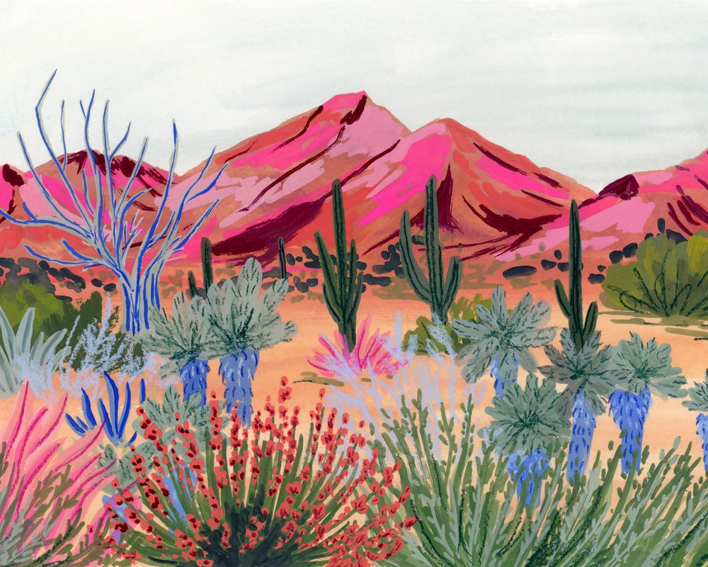 Panorama colorato del deserto da Sarah Gesek