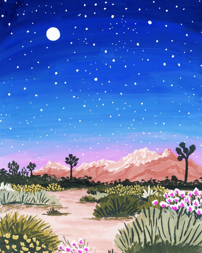 Notte stellata nel deserto da Sarah Gesek