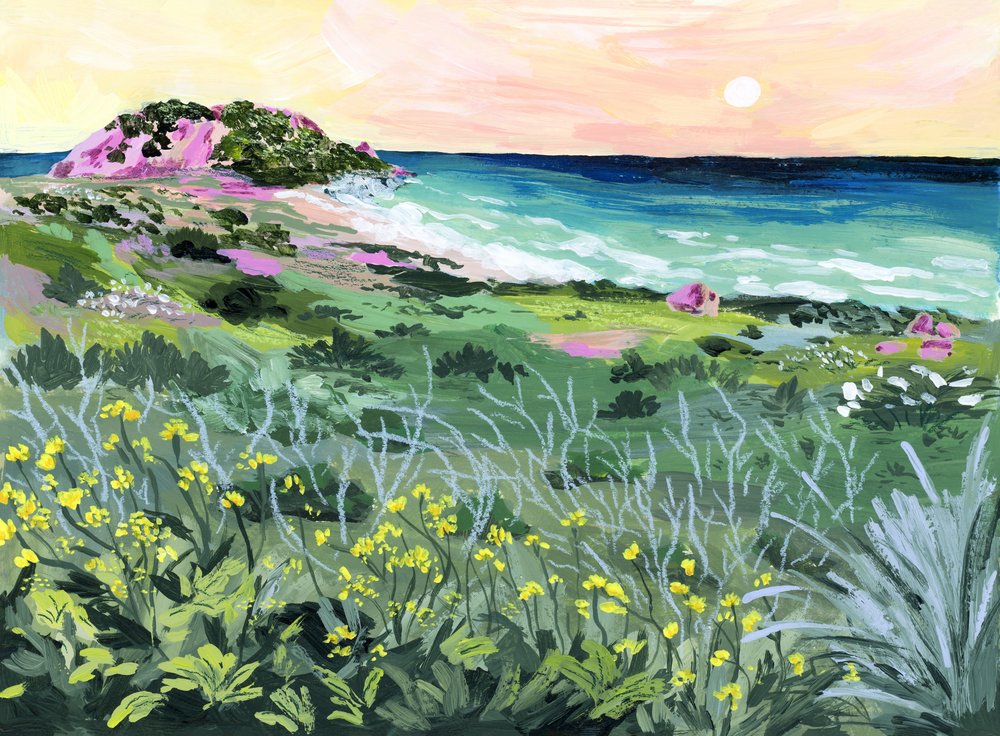 Tramonto sulla Costa Selvaggia da Sarah Gesek