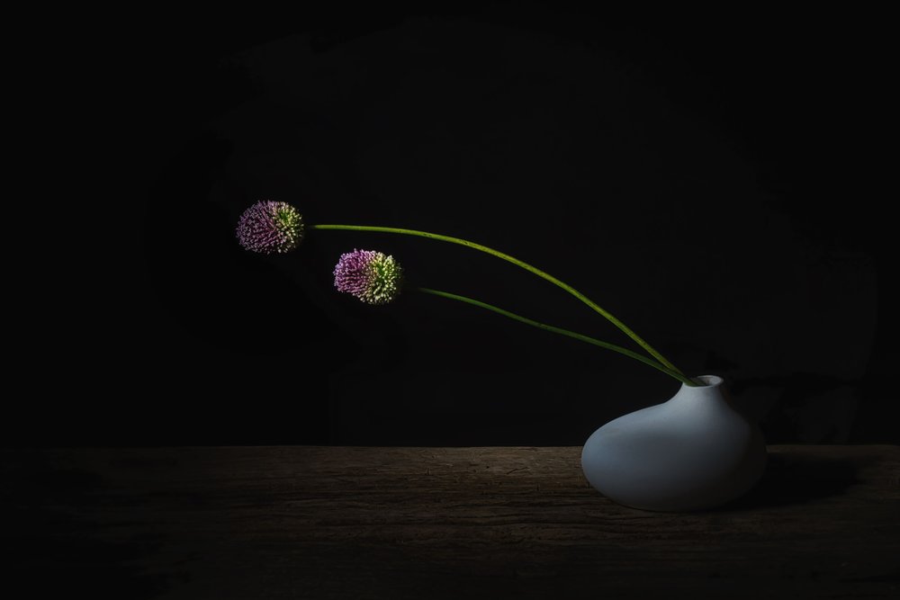 Fiori scuri di Allium da Saskia Dingemans