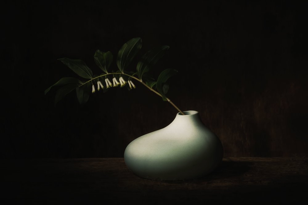 Delicate Bloom: Natura morta scura da Saskia Dingemans