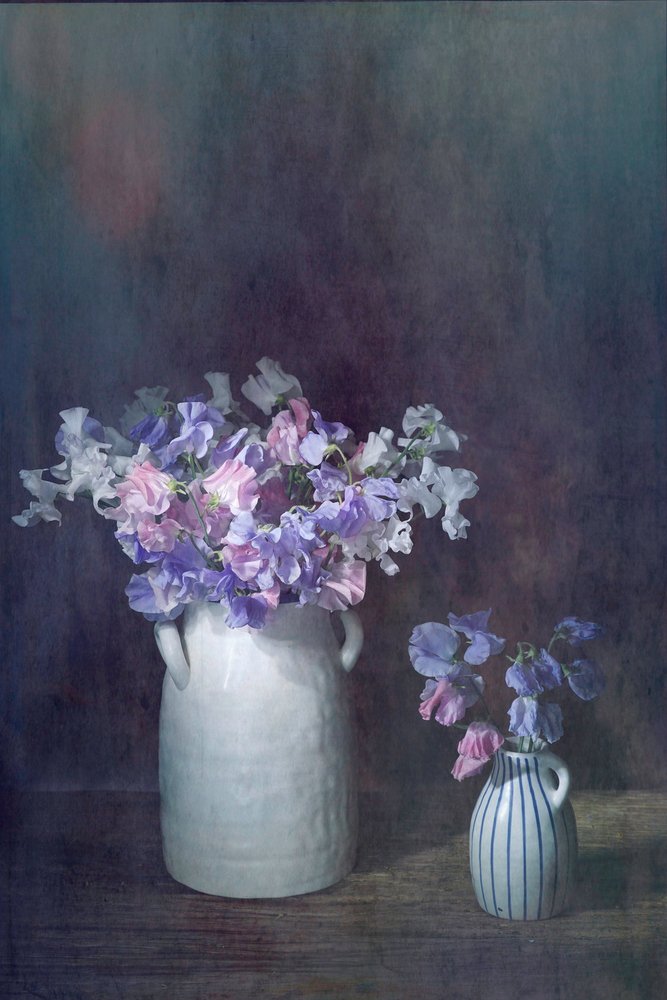 Delicati piselli odorosi da Saskia Dingemans