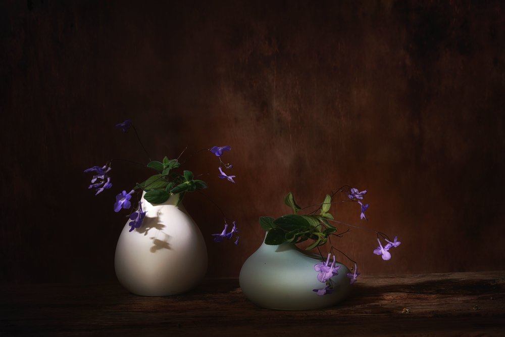Fiori viola galleggianti da Saskia Dingemans