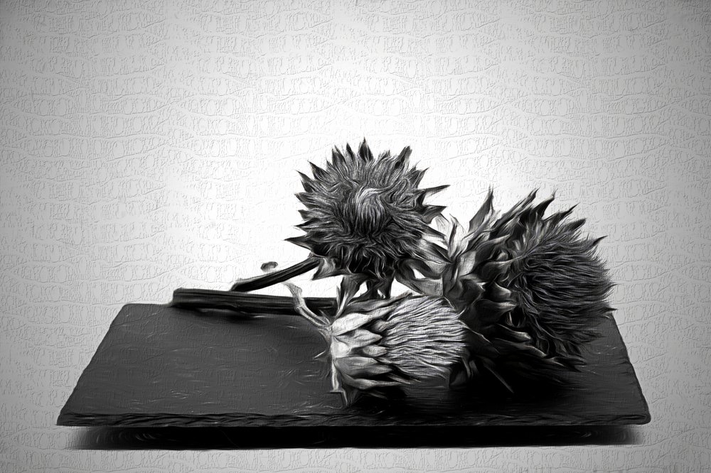 Natura morta monocromatica con carciofi da Saskia Dingemans