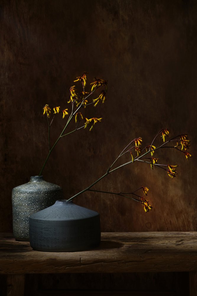 Vasi botanici Moody da Saskia Dingemans