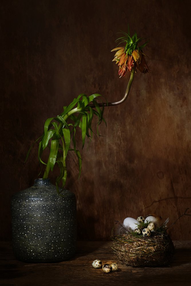 Moody Floral Nest da Saskia Dingemans