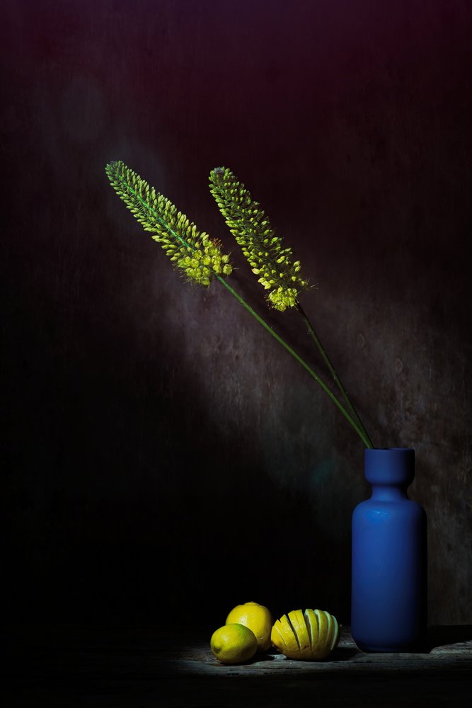 Fiori gialli dall