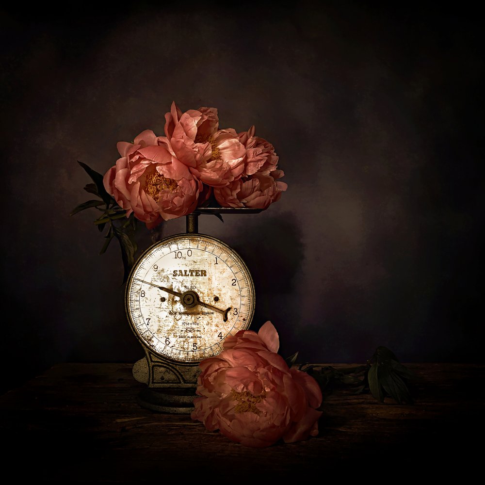 Peonie rosa in scala da Saskia Dingemans