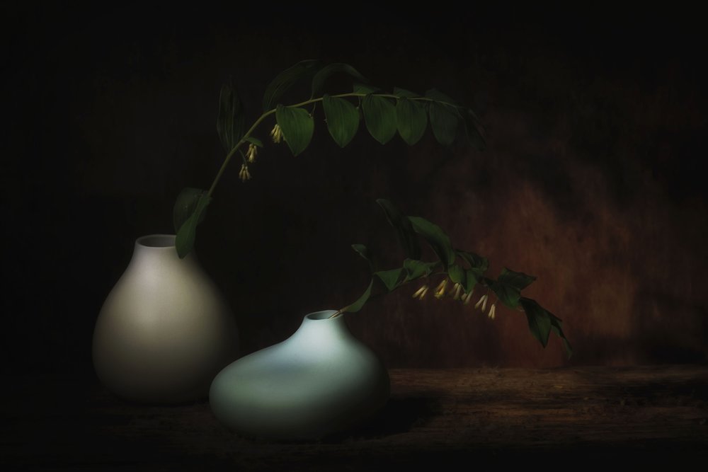 Sereno still life botanico da Saskia Dingemans