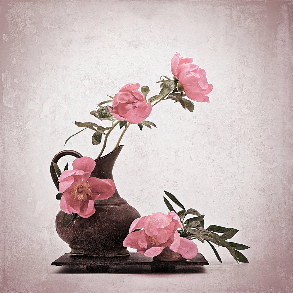 Peonie rosa tenue da Saskia Dingemans