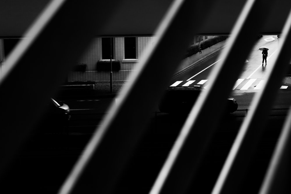 Il camminatore solitario con l