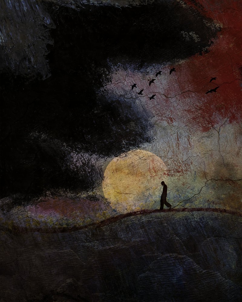 Notte scura, luna dorata da Shenshen Dou