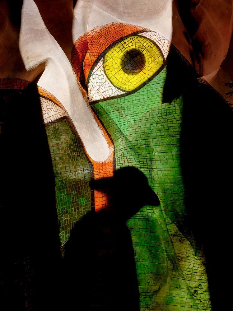 Occhio a mosaico e ombra da Shenshen Dou