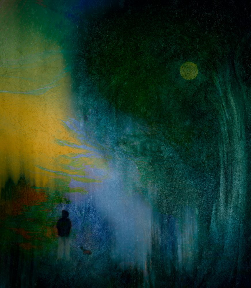 Sentiero solitario al chiaro di luna da Shenshen Dou