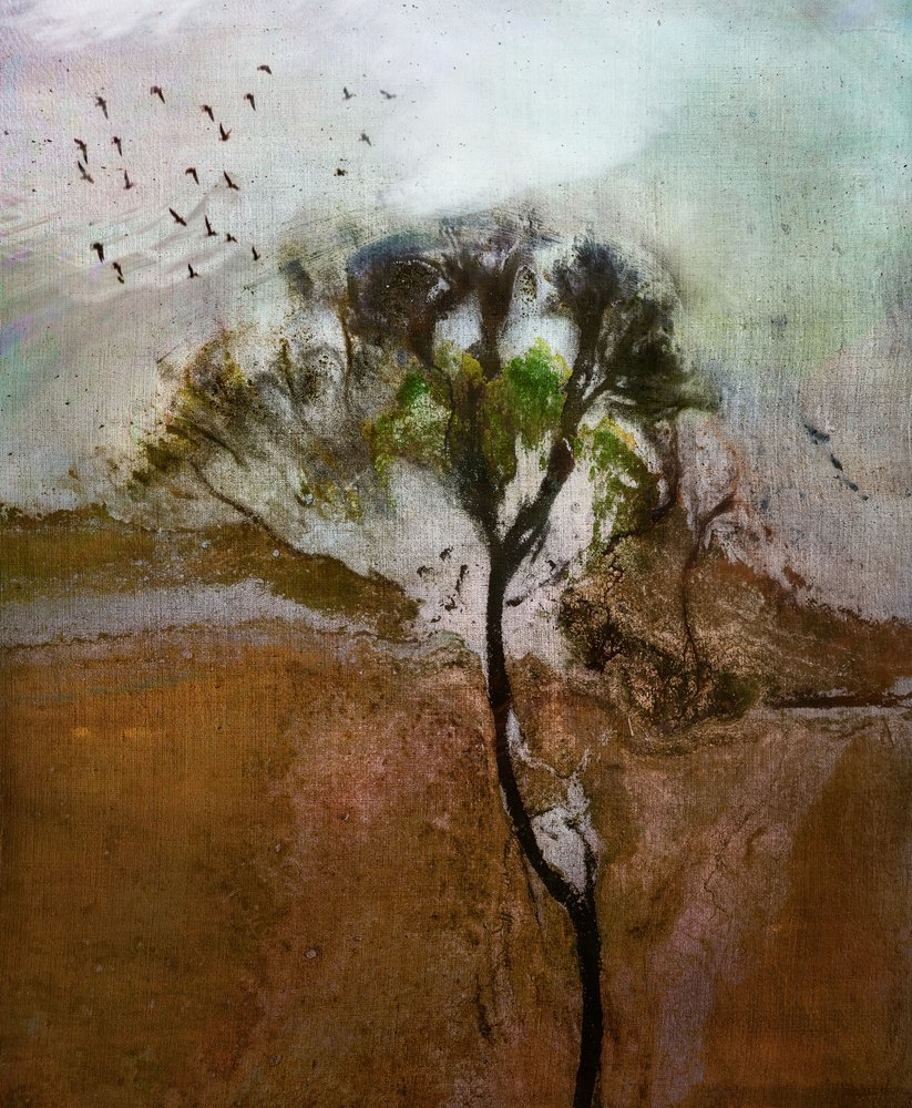 Paesaggio arboreo battuto dal vento da Shenshen Dou