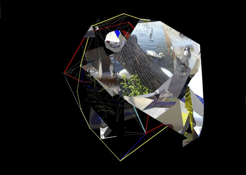 Cigni geometrici astratti da Stefan Fransson